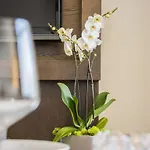Appartement Vacationclub - Diune 24 Kołobrzeg